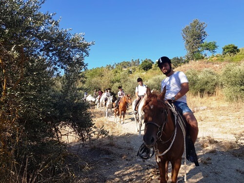 חוות סוסים נוף הרים בגליל